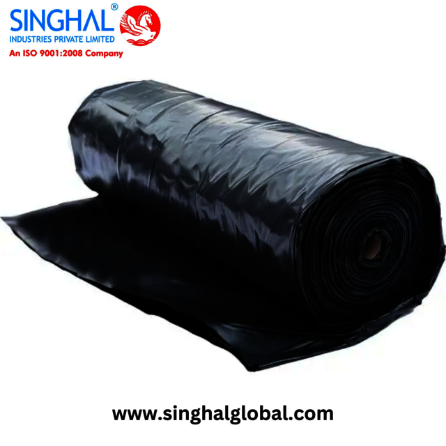 www.singhalglobal.com Picture Box