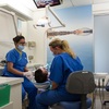 Sydney Holistic Dental Centre