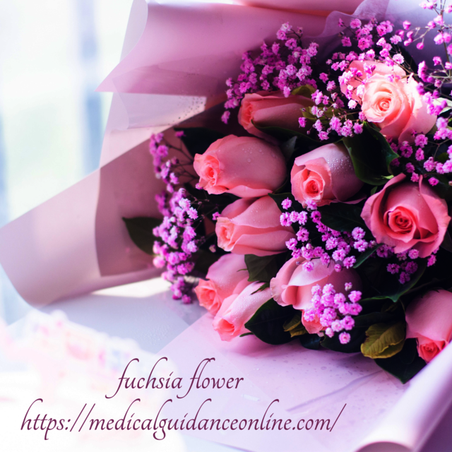 Pink Fuchsia Floral Happy Birthday Instagram Post Picture Box