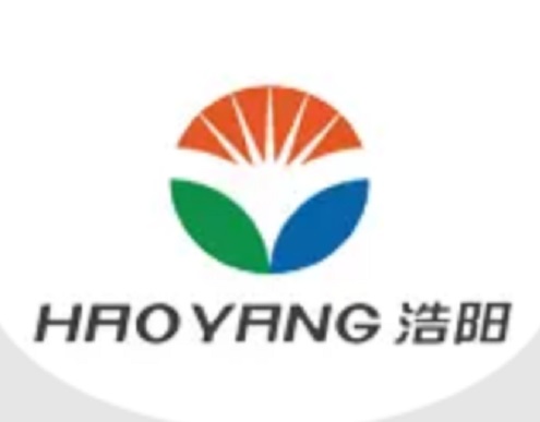 Logo Picture Box