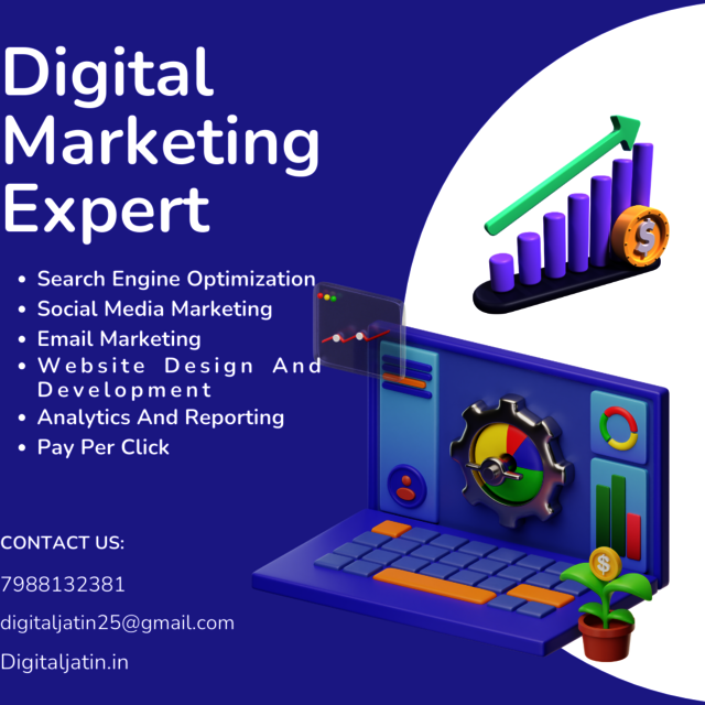 Digital Marketing Services In Haryana Picture Box