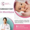 Surrogacy Cost in Mombasa - Picture Box