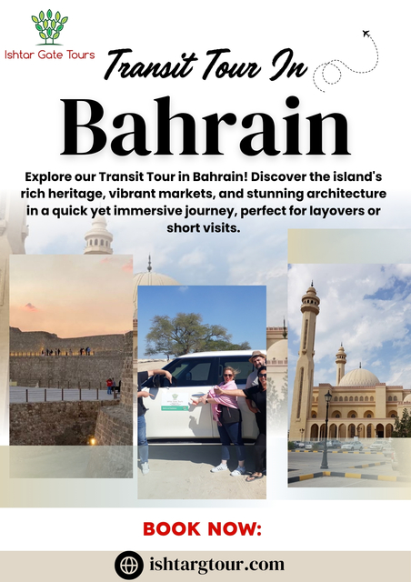 Transit Tour In Bahrain Picture Box