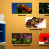 Nerve Fresh: A Natural Solution for Nerve Pain Relief and Enhanced Nerve Health