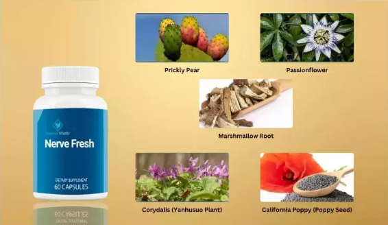 Screenshot 2024-10-18 112304 Nerve Fresh: A Natural Solution for Nerve Pain Relief and Enhanced Nerve Health