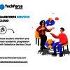 Salesforce Implementation G... - Salesforce Service CLoud