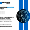 Salesforce Consulting Company - Salesforce Service CLoud