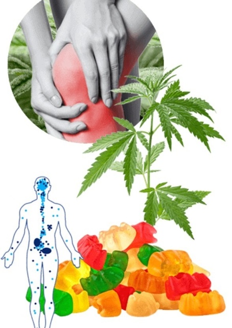 Harmony Glow CBD Gummies Harmony Glow CBD Gummies