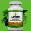 Lipozem weight loss - Lipozem weight loss