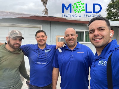 Mold testing in Los Angeles (2) Mold Testing & Removal Services