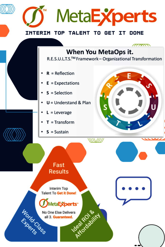 MetaExperts Infographics MetaExperts