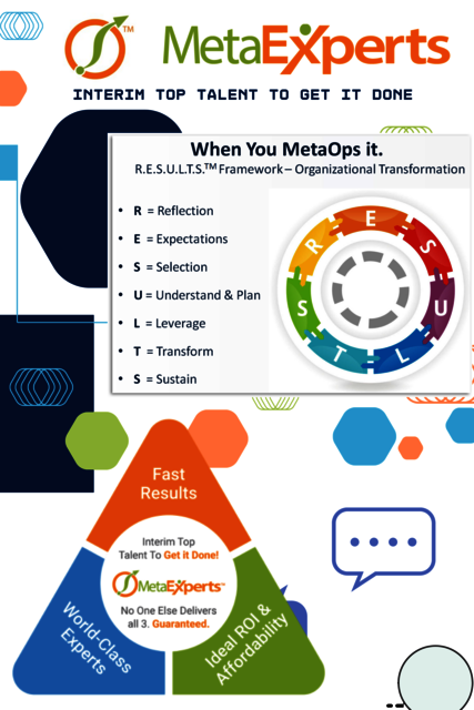 MetaExperts Infographics MetaExperts