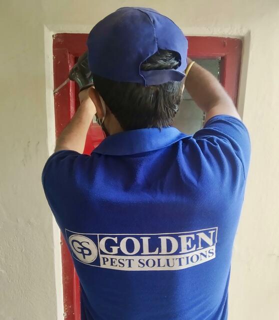 Professional Pest Control Services by Golden Pest  Golden Pest Solutions