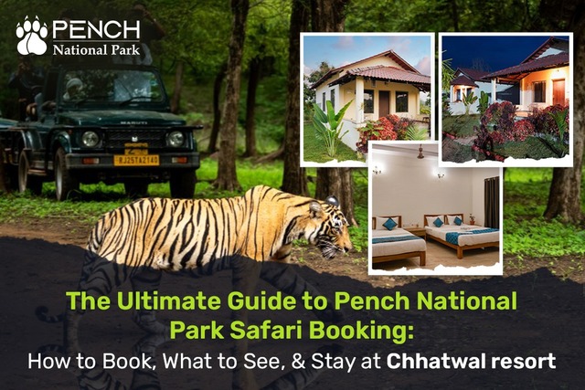 Jungle Safari in MP Picture Box