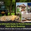 Jungle Safari in MP - Picture Box