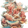 Flourish-Sea Coral Decals2 - Dearest Little Decals