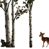 Scout- Animal Decals - Dearest Little Decals