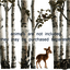 Scout- Aspen Tree Wall Deca... - Dearest Little Decals