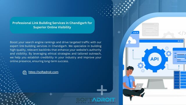 Professional Link Building Services in Chandigarh  Picture Box