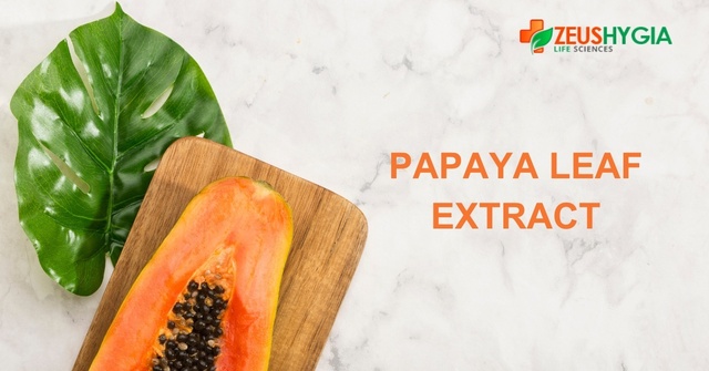 papaya-leaf-extract Picture Box