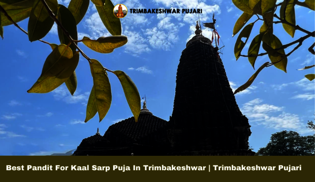 Add a heading (2) Picture Box