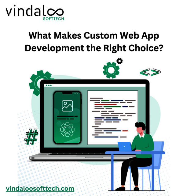 What Makes Custom Web App Development the Right Ch Picture Box