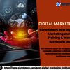 digital marketing training ... - Picture Box