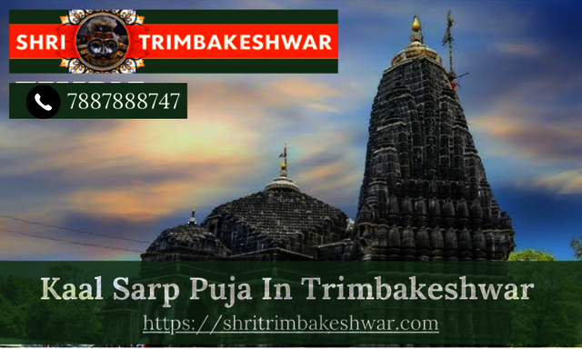 Kaal Sarp Puja In Trimbakeshwar Picture Box