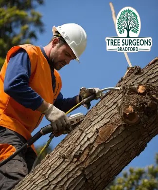 tree-service-near-me Bradford Tree Surgeons