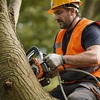 tree-cutting-bg - Bradford Tree Surgeons