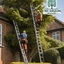 tree-trimming-company-near-me - Bradford Tree Surgeons