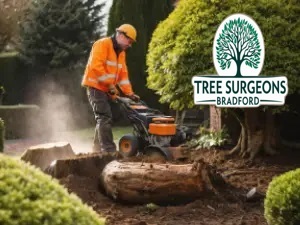 stump-removal-service Bradford Tree Surgeons