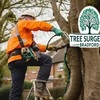 Bradford Tree Surgeons