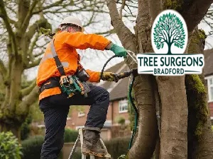 tree-care-near-me Bradford Tree Surgeons