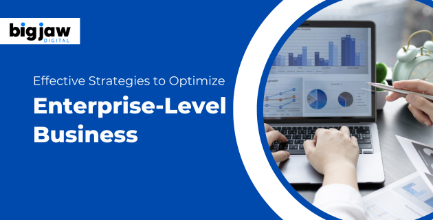 Effective Strategies to Optimize Enterprise-Level  BigJawDigital