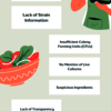 Navigating The 8 Red Flags ... - Infographics