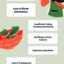 Navigating The 8 Red Flags ... - Infographics