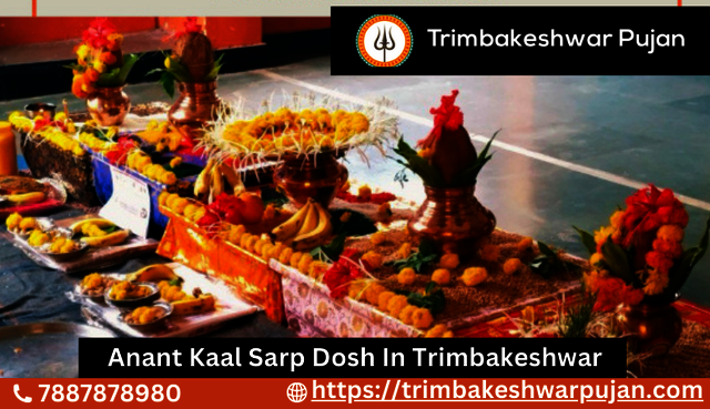 Anant Kaal Sarp Dosh Trimbakeshwar Pujan