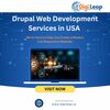 Drupal Web Development Serv... - Picture Box