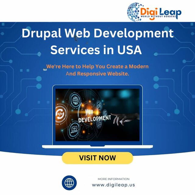 Drupal Web Development Services in USA Picture Box