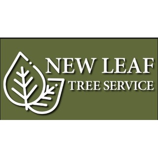 WhatsApp Image 2024-12-02 at 12.44.55 be3cc730 New Leaf Tree Service