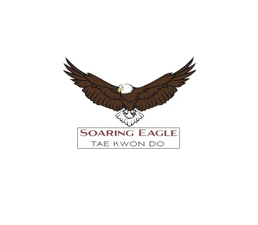 logo Soaring Eagle Tae Kwon Do