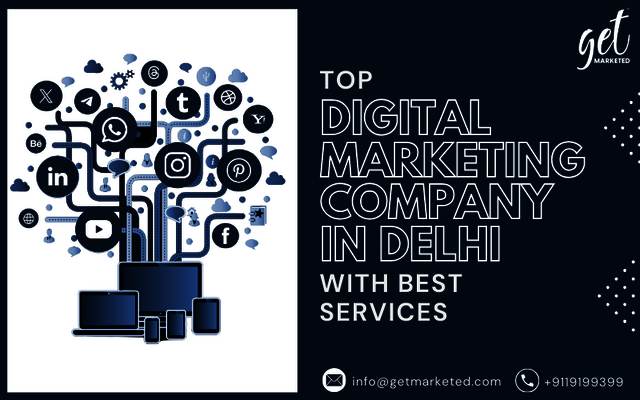 Top Digital Marketing Company in Delhi With Best S Picture Box
