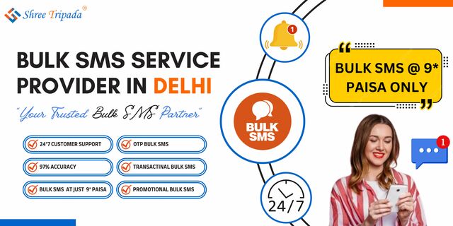 Bulk-sms-delhi Picture Box