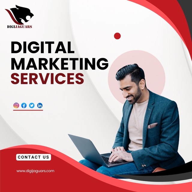 Digital Marketing Services Picture Box