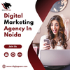 Digital Marketing Agency In... - Picture Box