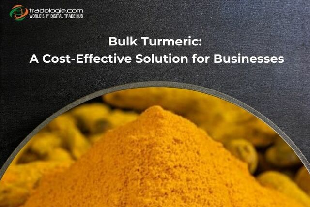 Bulk Turmeric  A Cost-Effective Solution for Busin Picture Box