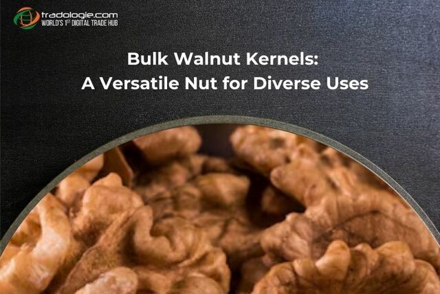 Bulk Walnut Kernels  A Versatile Nut for Diverse U Picture Box