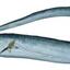 RibbonFish: Everything You ... - Picture Box