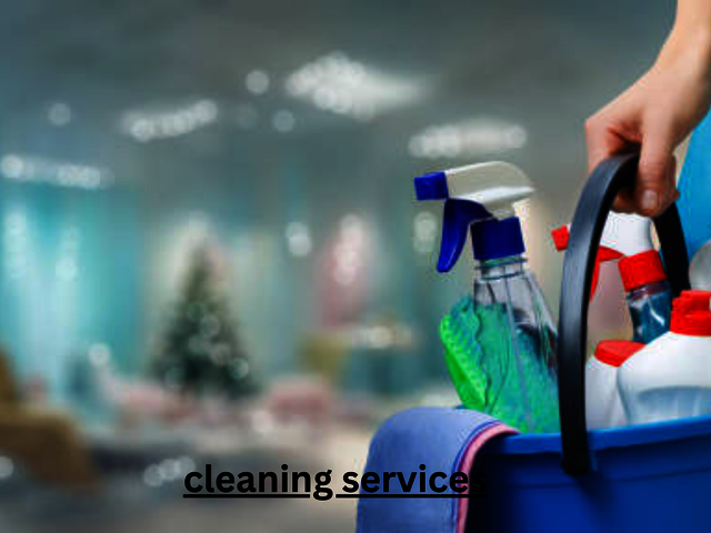 Professional Westlink Cleaning Services Picture Box